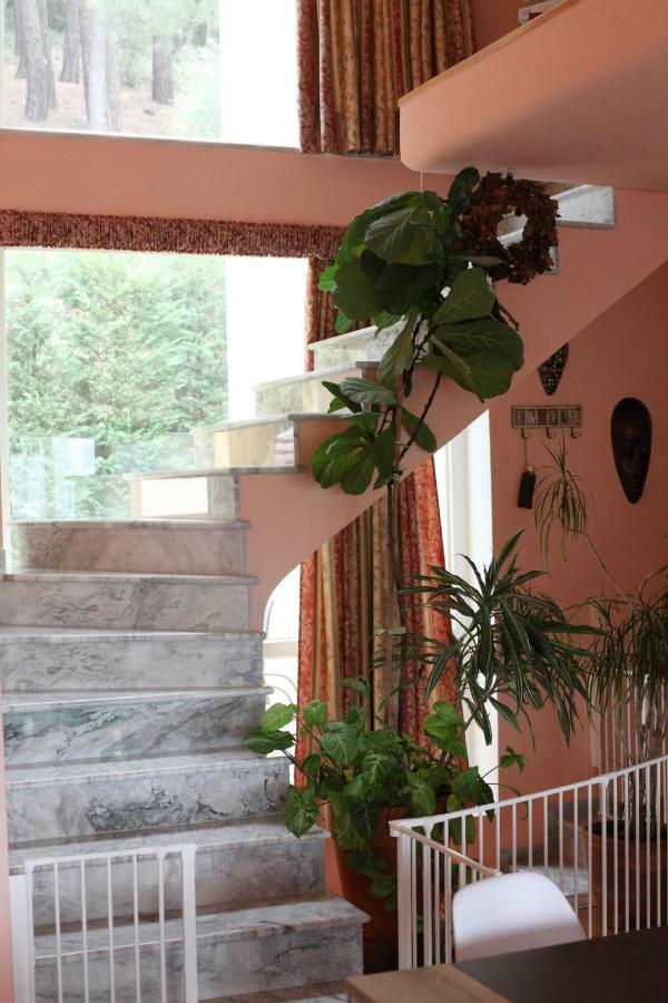 Six Steps From The Forest Zigos  Extérieur photo